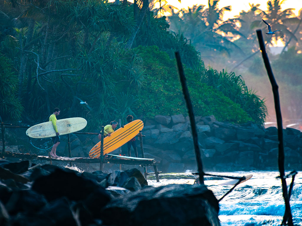 Custom package surf lesson